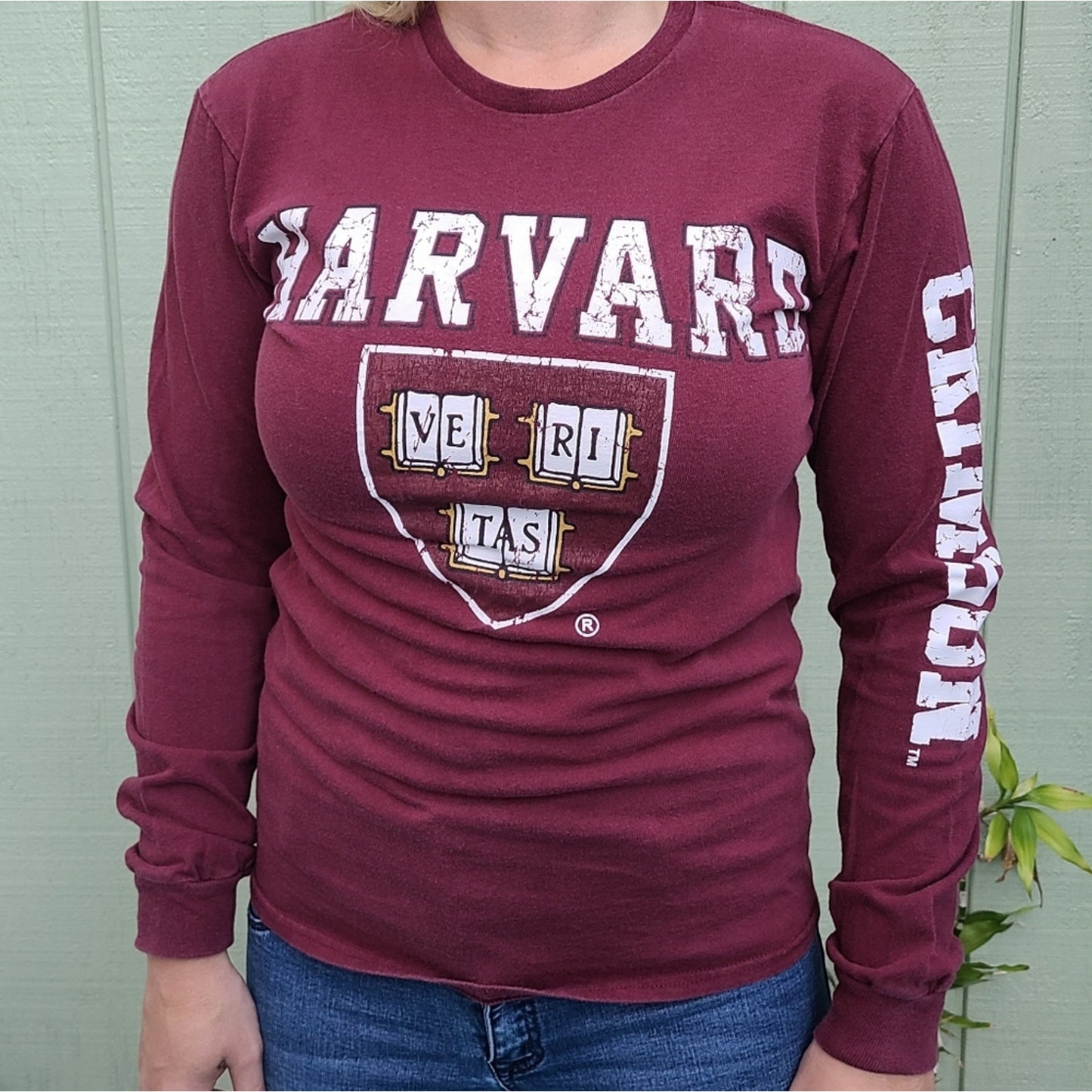 Harvard Crimson Ve Ri Tas Small Crimson Delta Pro Weight Long Sleeve Shirt