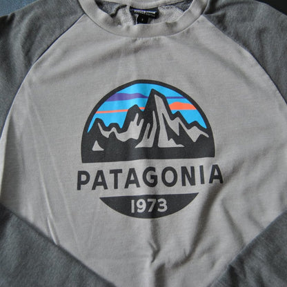 Patagonia Mountain Logo Small Gray Long Sleeve Shirt 1973 Fitz Roy Scope