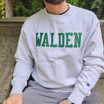 Walden University Champion Reverse Weave Medium Gray Crewneck Sweater