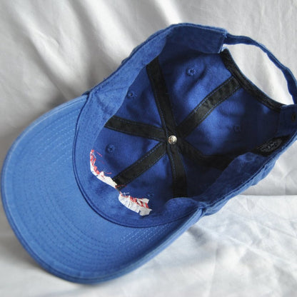 Chicago Cubs World Series 2016 Dad Hat w/ Adjustable Strap