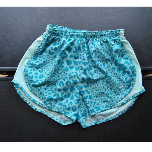 Nike Small Two Toned Blue Lined Shorts