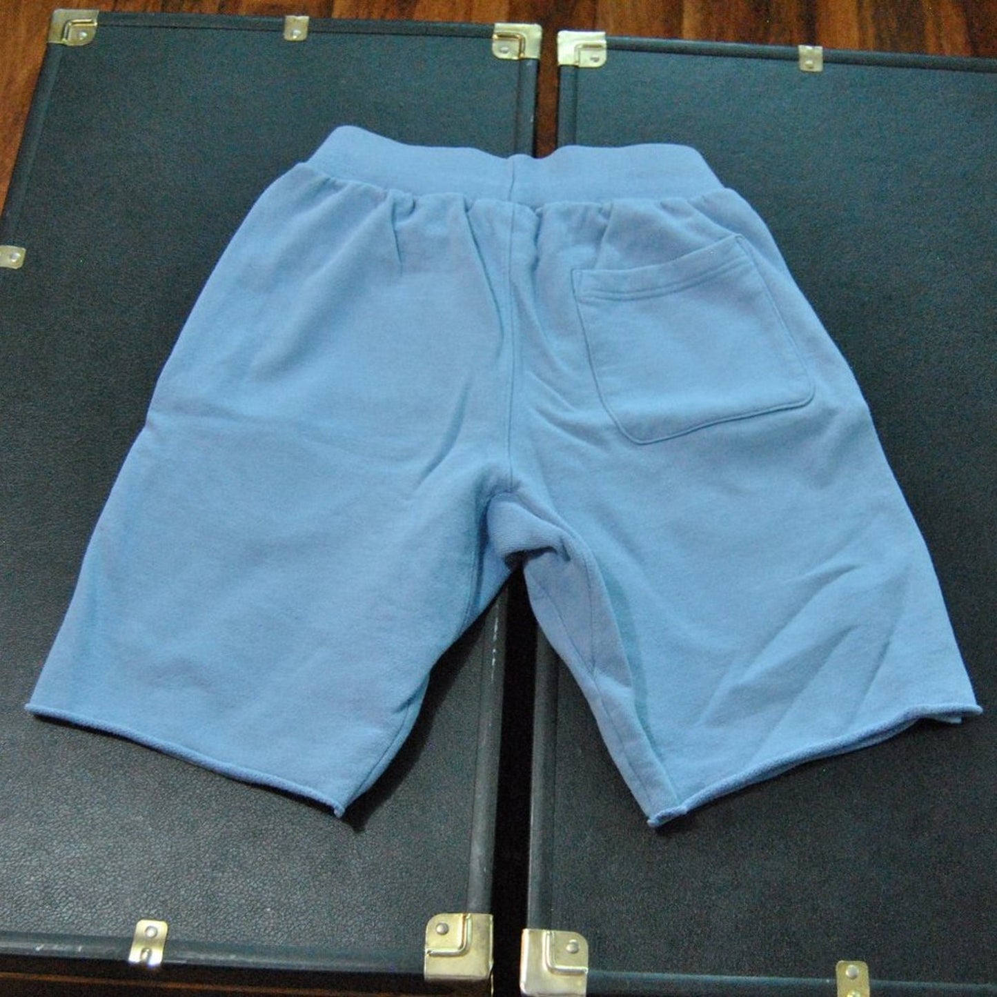 Champion Reverse Weave Small Light Blue and Pink Sweat Shorts