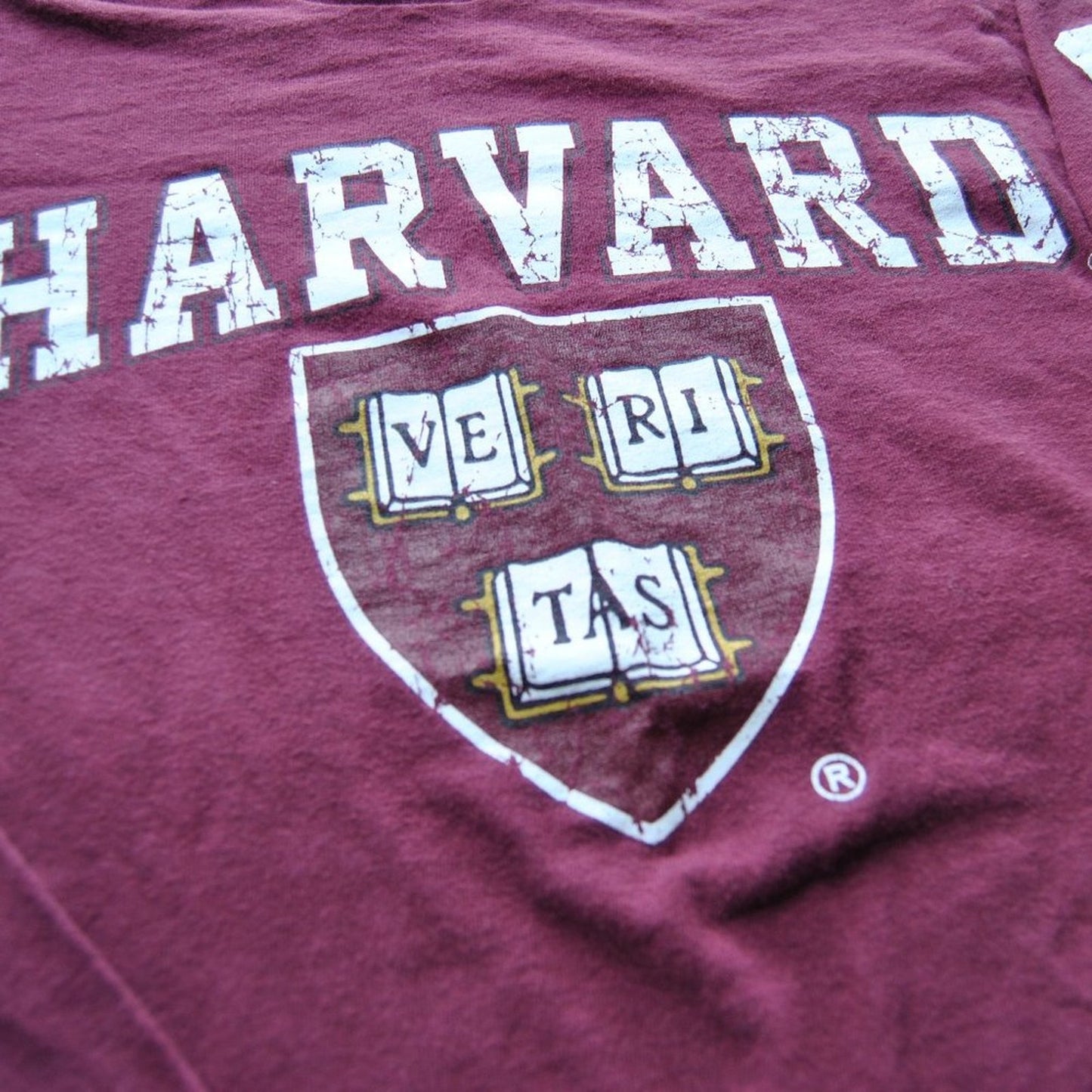 Harvard Crimson Ve Ri Tas Small Crimson Delta Pro Weight Long Sleeve Shirt