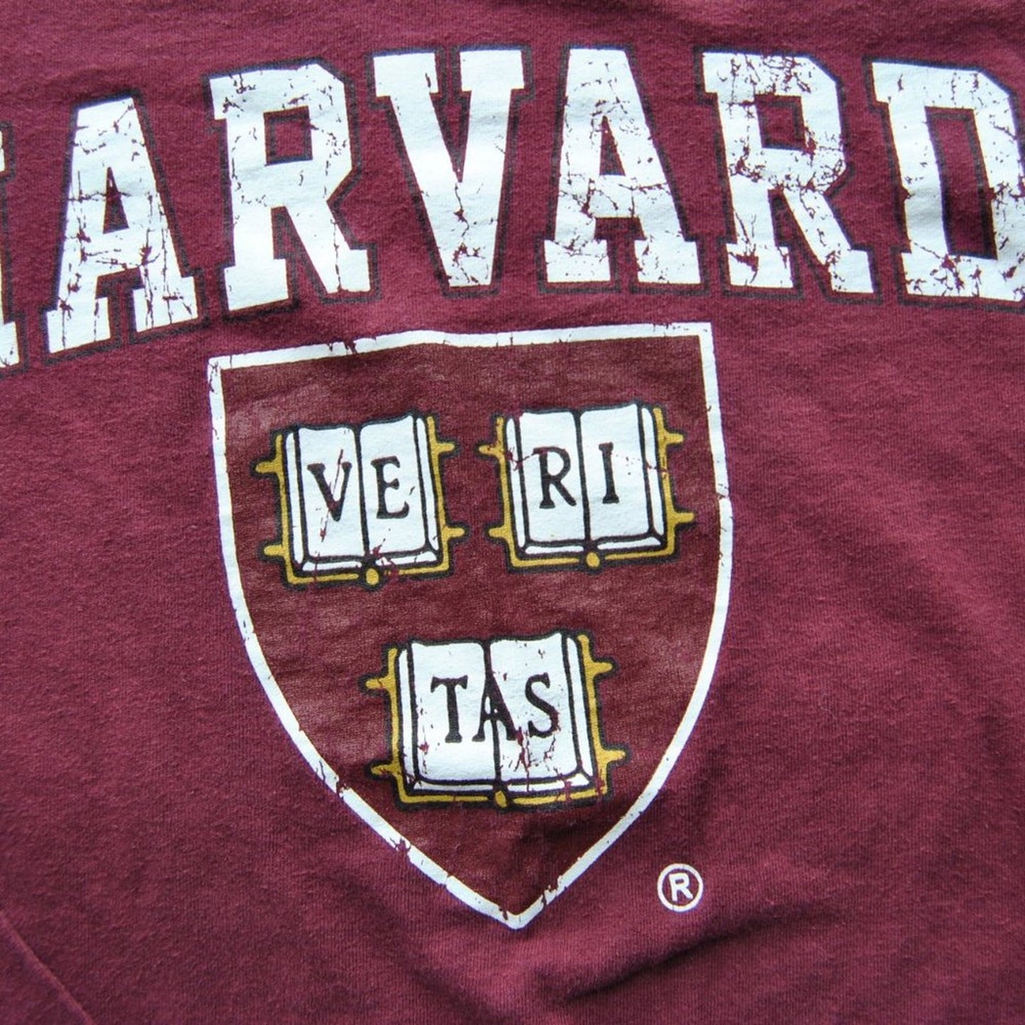 Harvard Crimson Ve Ri Tas Small Crimson Delta Pro Weight Long Sleeve Shirt