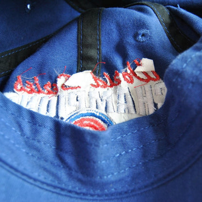 Chicago Cubs World Series 2016 Dad Hat w/ Adjustable Strap