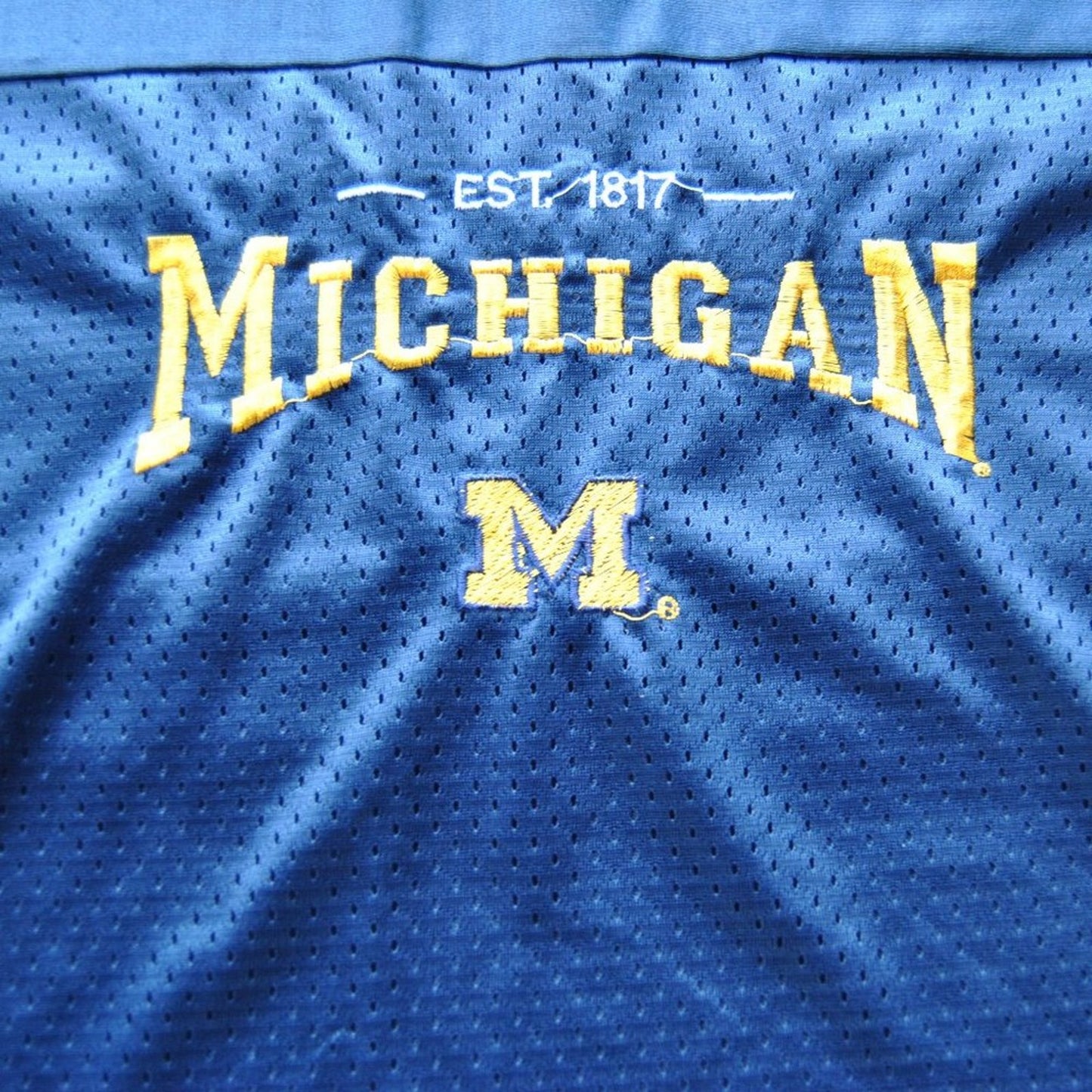 University of Michigan Vintage Large Blue Jersey