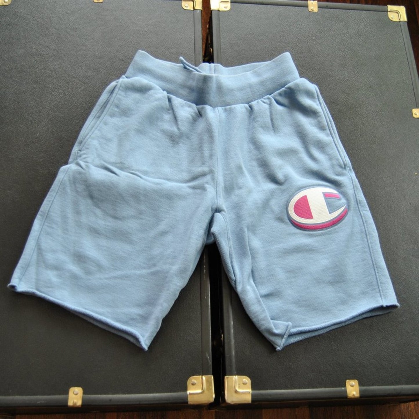 Champion Reverse Weave Small Light Blue and Pink Sweat Shorts