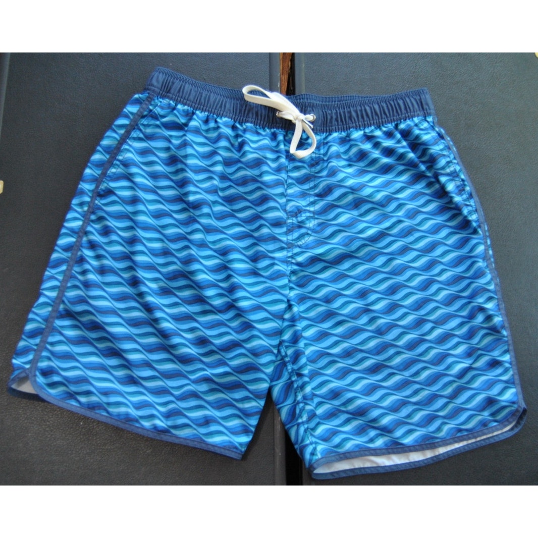 Fair Harbor Shorts Blue Wave