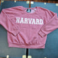 Harvard Small Crimson Red Crewneck Sweater Recycled Karma